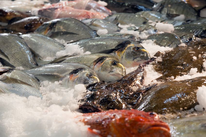 Cuáles son los pescados más consumidos en España