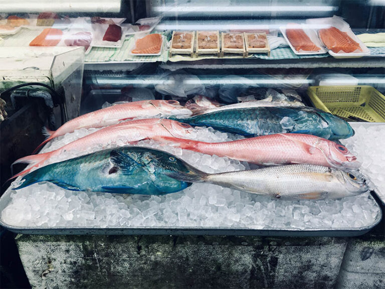 Diferencias entre el pescado blanco y azul