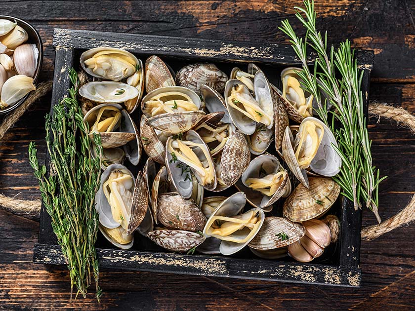 How to Keep Clams Fresh at Home