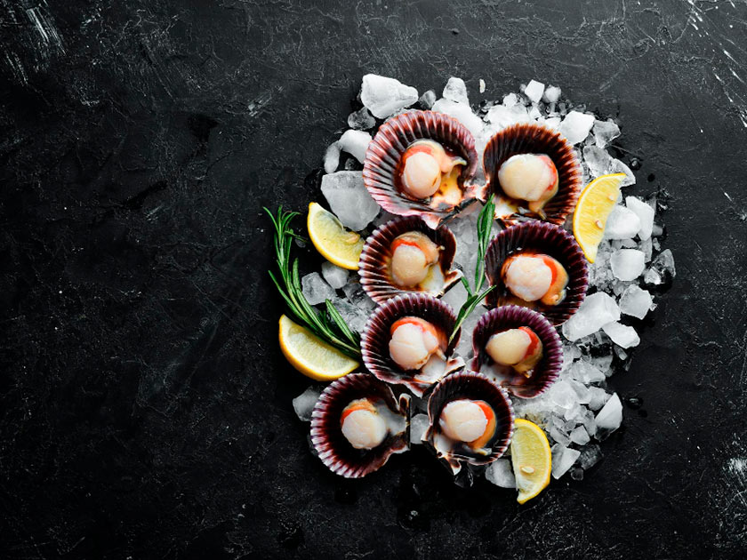 The Difference Between Variegated Scallops and Queen Scallops.