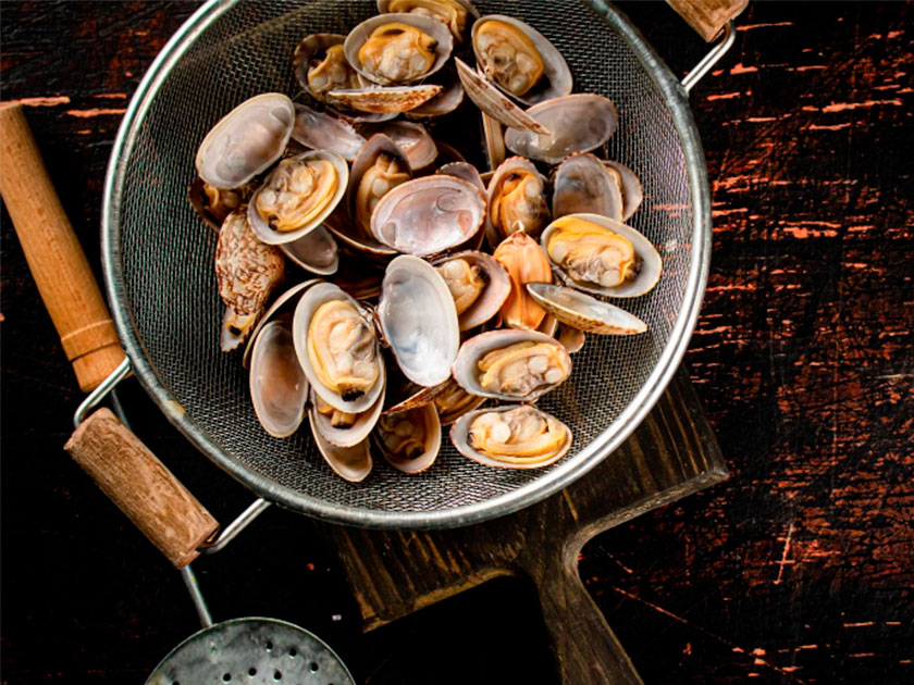Types of clams: how to distinguish between them