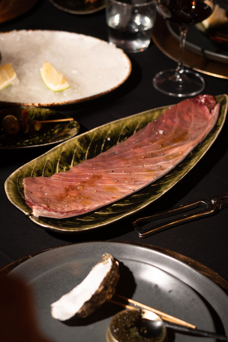 UNDERFISH-034