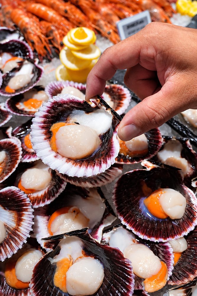 Zamburiñas frescas abiertas, una de las piezas de la Mariscada Chao